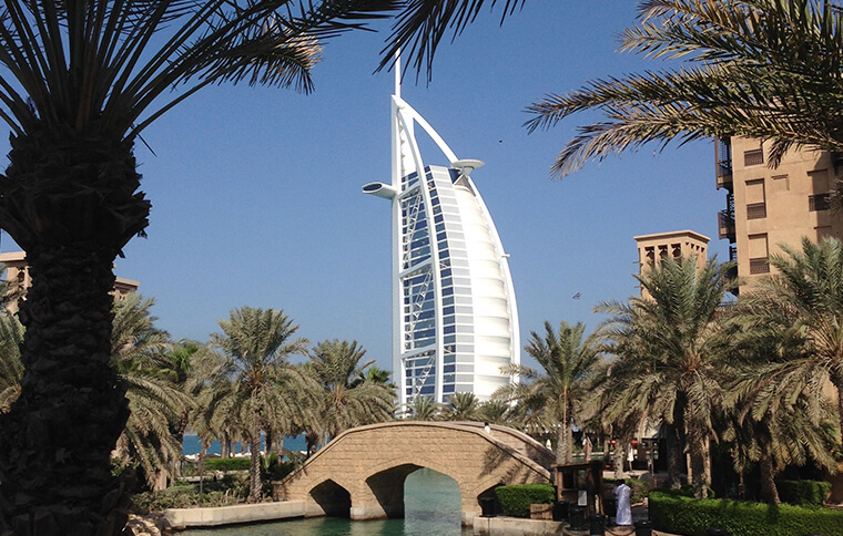 skyscraper with palm trees in foreground